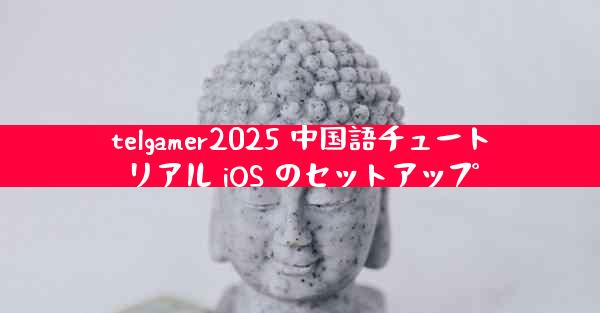 telgamer2025 中国語チュートリアル iOS のセットアップ