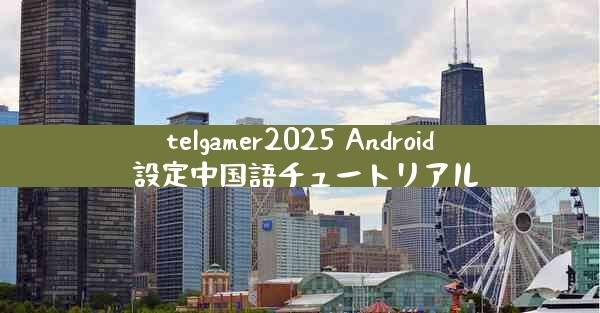 telgamer2025 Android 設定中国語チュートリアル