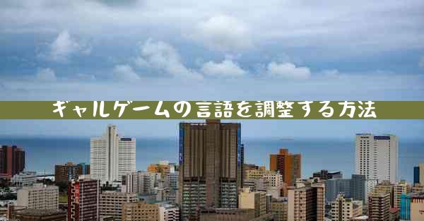 ギャルゲームの言語を調整する方法