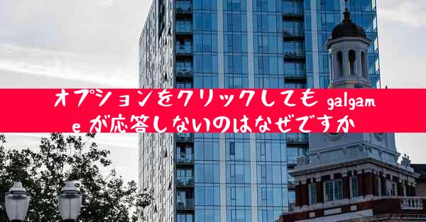 オプションをクリックしても galgame が応答しないのはなぜですか